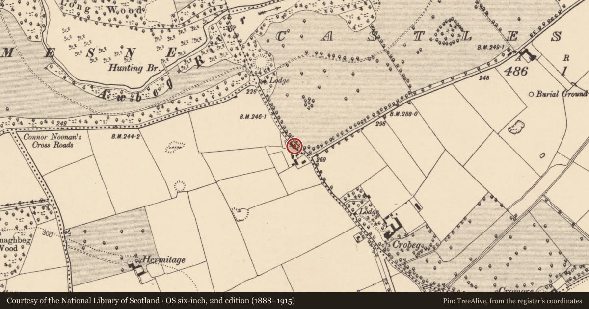 Ordnance Survey six-inch map, 2nd edition (1888–1915) covering the location of House - vernacular house, Ballyandrew, County Cork, with a pin at the register's coordinates