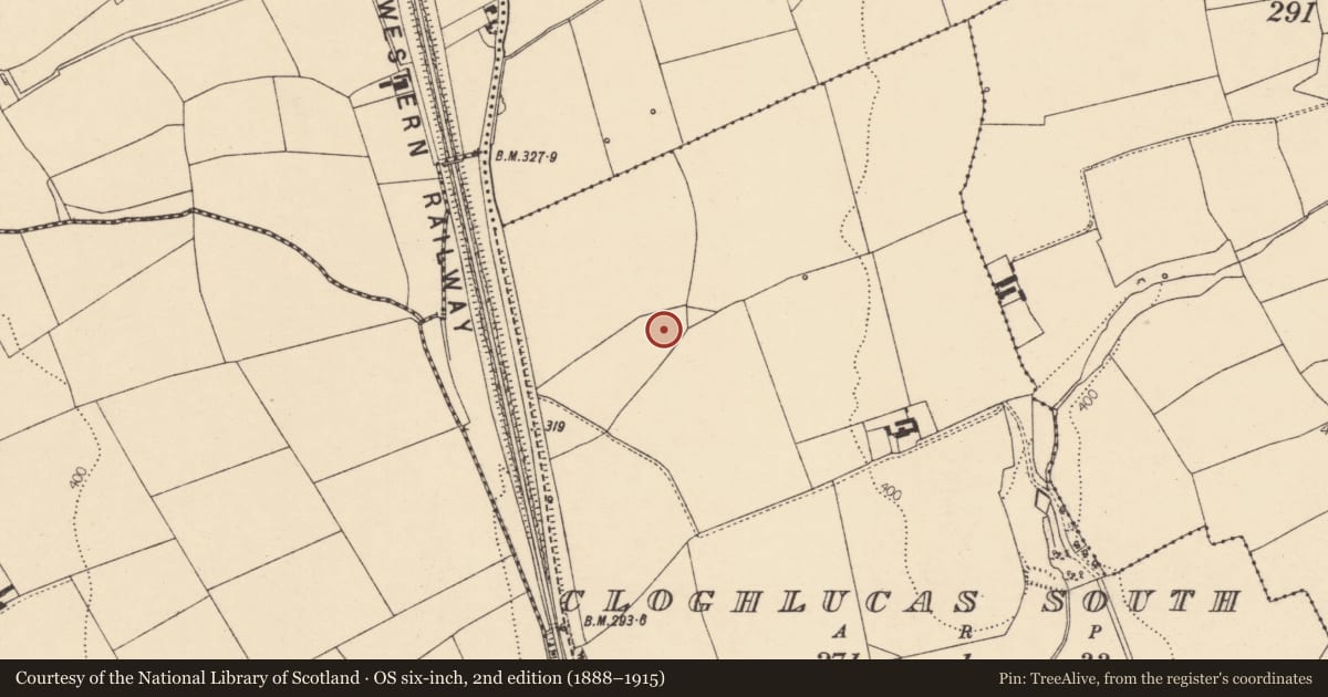 Ordnance Survey six-inch map, 2nd edition (1888–1915) covering the location of Fulacht fia, Cloghlucas South, County Cork, with a pin at the register's coordinates