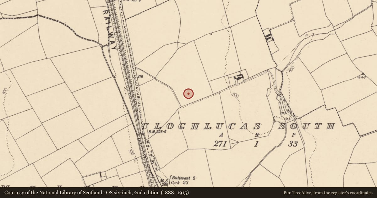 Ordnance Survey six-inch map, 2nd edition (1888–1915) covering the location of Excavation - miscellaneous, Cloghlucas South, County Cork, with a pin at the register's coordinates