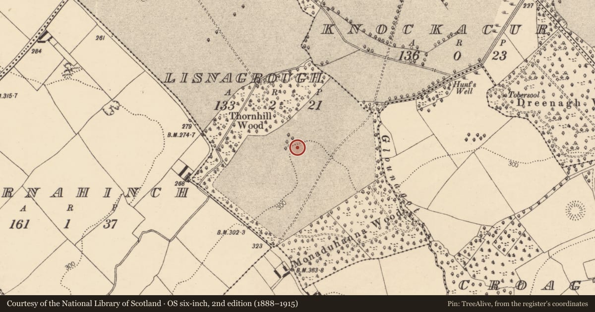 Ordnance Survey six-inch map, 2nd edition (1888–1915) covering the location of Ringfort - rath, Lisnagrough, County Cork, with a pin at the register's coordinates
