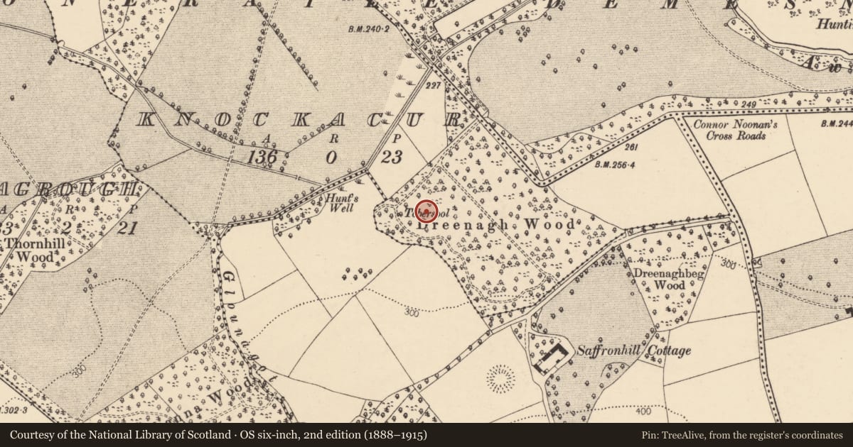 Ordnance Survey six-inch map, 2nd edition (1888–1915) covering the location of Ritual site - holy well, Knockacur, County Cork, with a pin at the register's coordinates