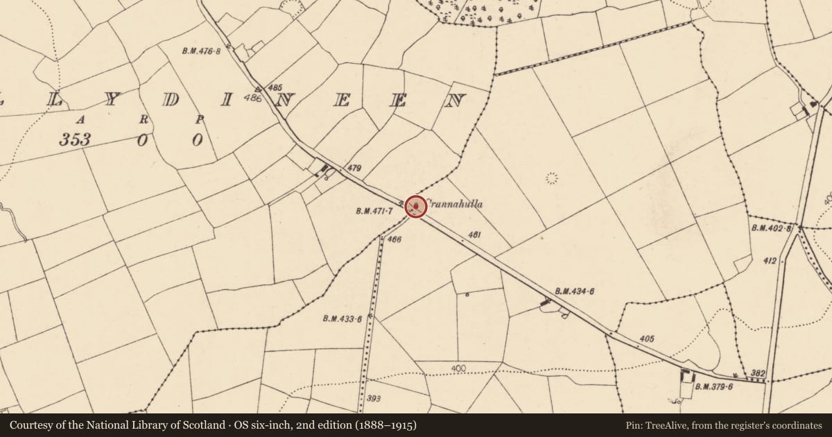 Ordnance Survey six-inch map, 2nd edition (1888–1915) covering the location of Ritual site - holy tree/bush, Annakisha North, County Cork, with a pin at the register's coordinates