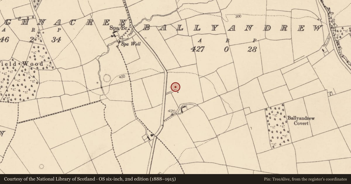 Ordnance Survey six-inch map, 2nd edition (1888–1915) covering the location of Dovecote, Ballyandrew, County Cork, with a pin at the register's coordinates