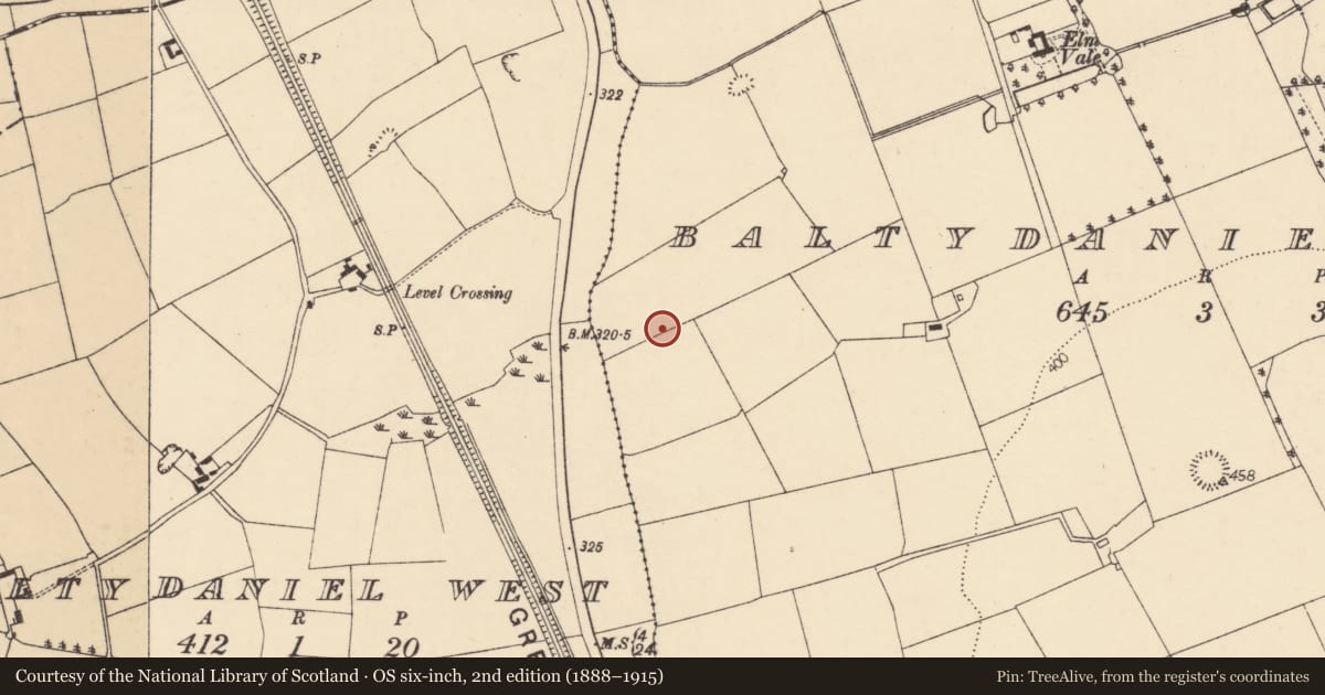 Ordnance Survey six-inch map, 2nd edition (1888–1915) covering the location of Fulacht fia, Baltydaniel East, County Cork, with a pin at the register's coordinates