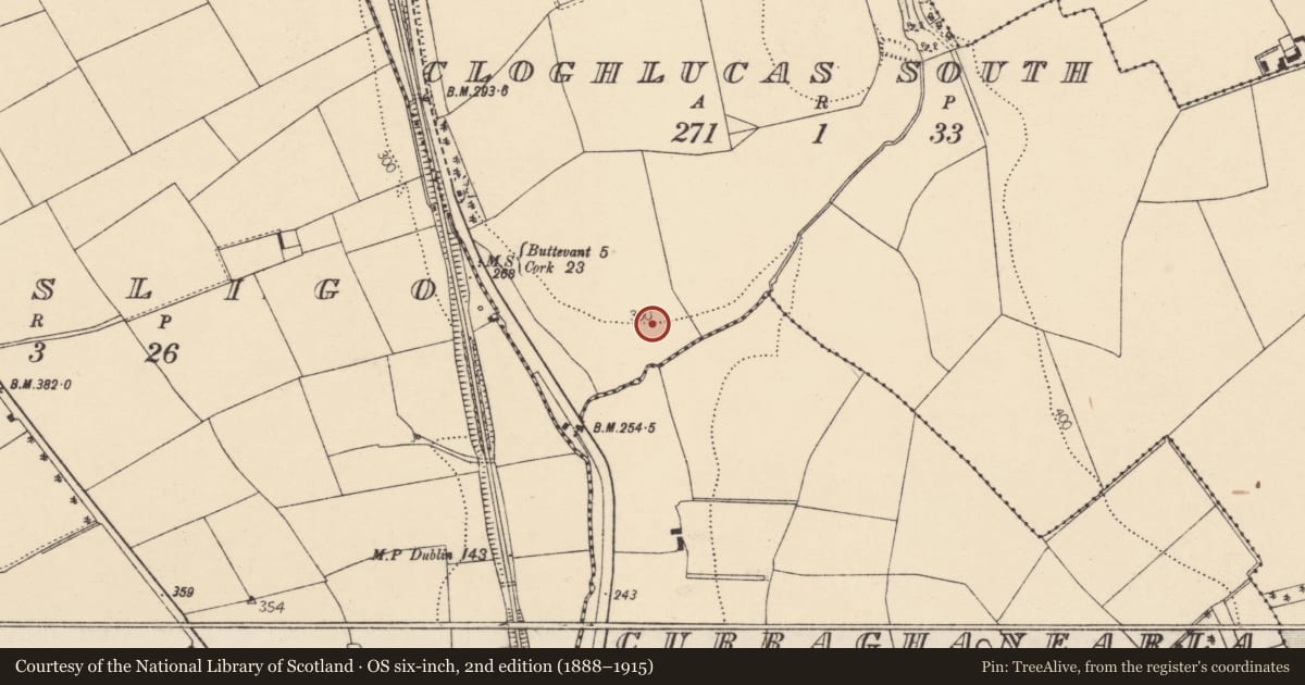 Ordnance Survey six-inch map, 2nd edition (1888–1915) covering the location of Excavation - miscellaneous, Cloghlucas South, County Cork, with a pin at the register's coordinates