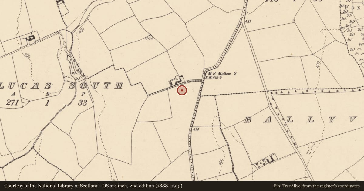 Ordnance Survey six-inch map, 2nd edition (1888–1915) covering the location of Standing stone, Cloghlucas South, County Cork, with a pin at the register's coordinates
