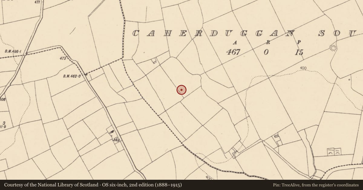 Ordnance Survey six-inch map, 2nd edition (1888–1915) covering the location of Standing stone, Caherduggan South, County Cork, with a pin at the register's coordinates