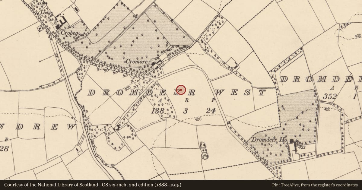 Ordnance Survey six-inch map, 2nd edition (1888–1915) covering the location of Fulacht fia, Dromdeer West, County Cork, with a pin at the register's coordinates