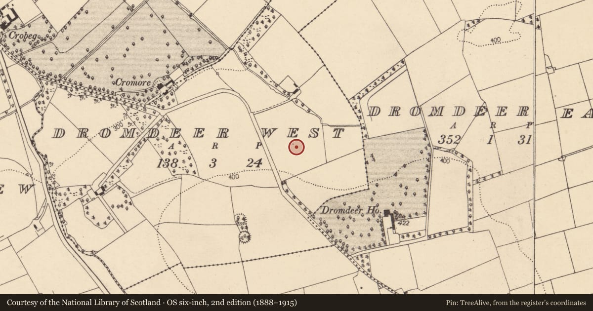 Ordnance Survey six-inch map, 2nd edition (1888–1915) covering the location of Fulacht fia, Dromdeer West, County Cork, with a pin at the register's coordinates