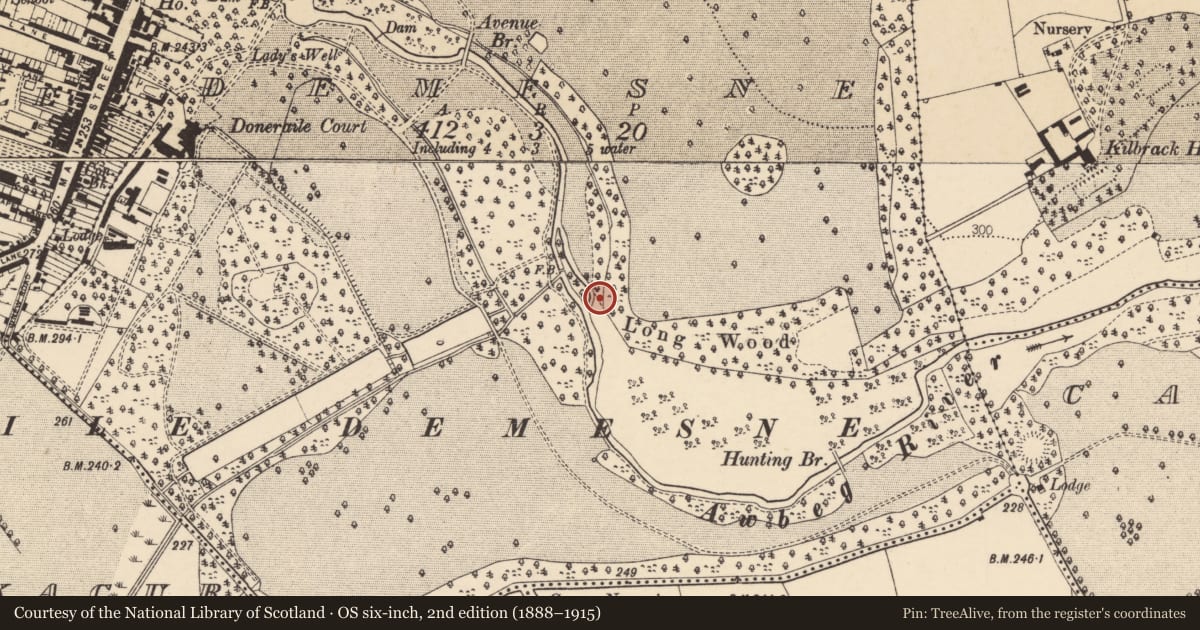 Ordnance Survey six-inch map, 2nd edition (1888–1915) covering the location of Fulacht fia, Demesne, County Cork, with a pin at the register's coordinates
