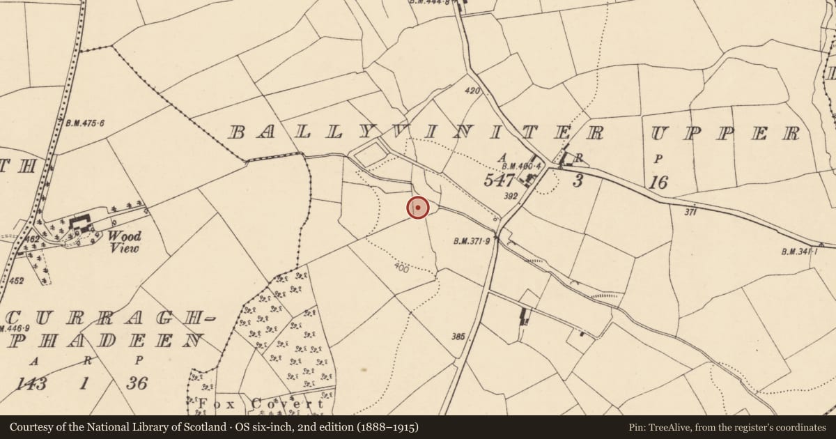 Ordnance Survey six-inch map, 2nd edition (1888–1915) covering the location of Fulacht fia, Ballyviniter Upper, County Cork, with a pin at the register's coordinates