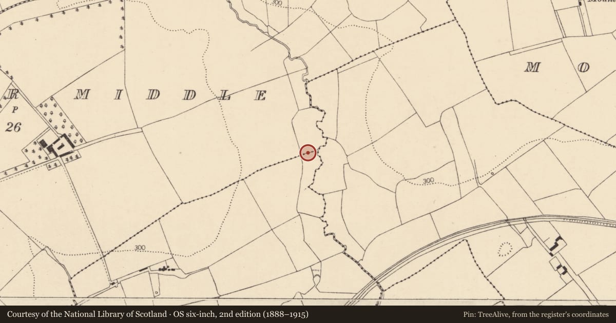 Ordnance Survey six-inch map, 2nd edition (1888–1915) covering the location of Fulacht fia, Ballyviniter Lower, Ballyviniter Middle, County Cork, with a pin at the register's coordinates