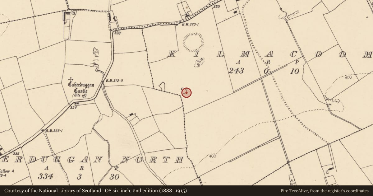 Ordnance Survey six-inch map, 2nd edition (1888–1915) covering the location of Fulacht fia, Kilmacoom, County Cork, with a pin at the register's coordinates