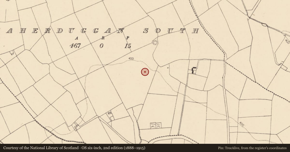 Ordnance Survey six-inch map, 2nd edition (1888–1915) covering the location of Fulacht fia, Caherduggan South, County Cork, with a pin at the register's coordinates
