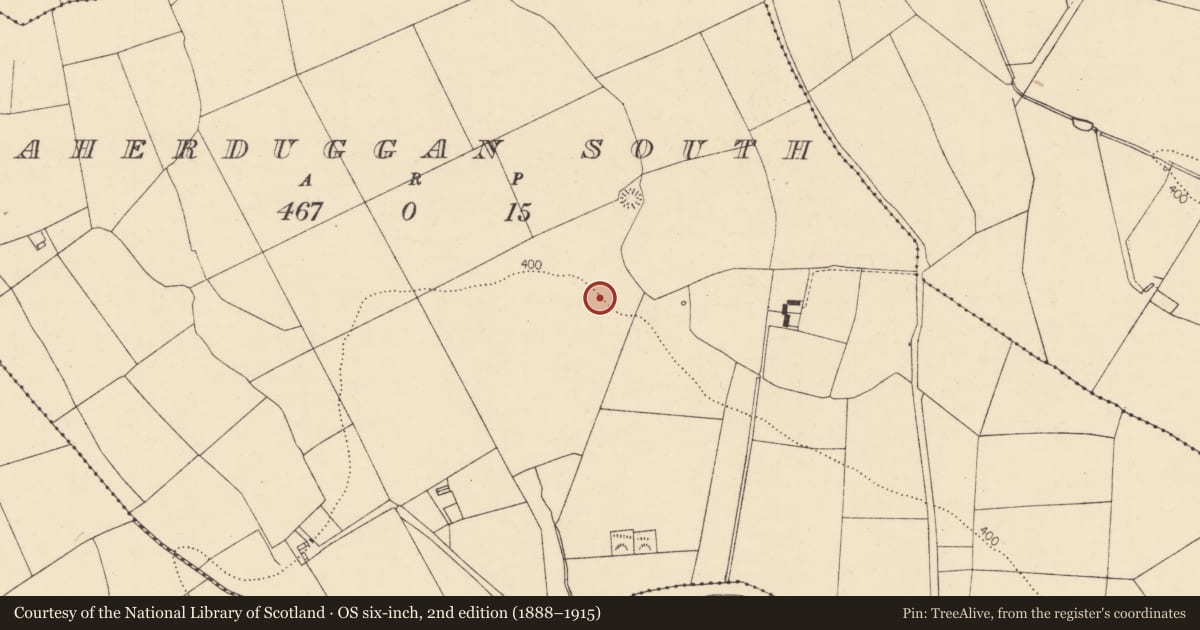 Ordnance Survey six-inch map, 2nd edition (1888–1915) covering the location of Fulacht fia, Caherduggan South, County Cork, with a pin at the register's coordinates