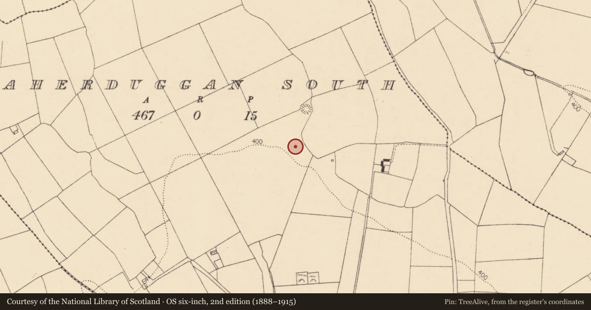 Ordnance Survey six-inch map, 2nd edition (1888–1915) covering the location of Fulacht fia, Caherduggan South, County Cork, with a pin at the register's coordinates