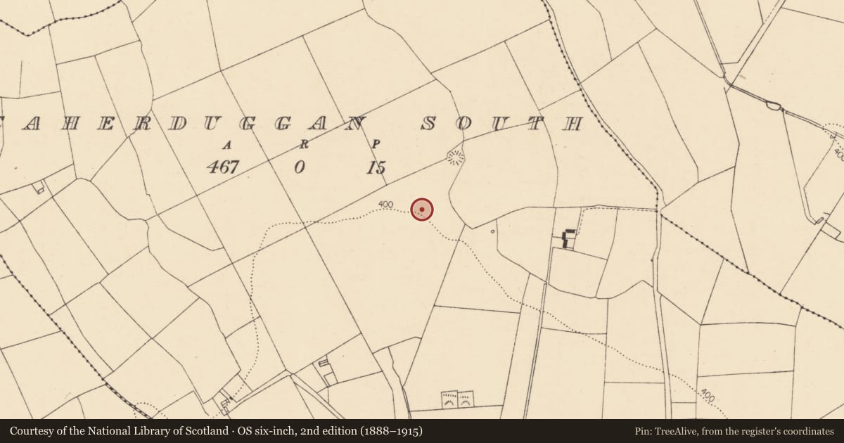 Ordnance Survey six-inch map, 2nd edition (1888–1915) covering the location of Fulacht fia, Caherduggan South, County Cork, with a pin at the register's coordinates