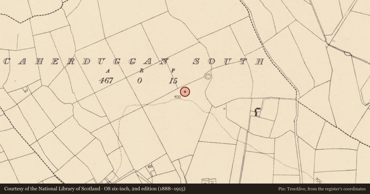 Ordnance Survey six-inch map, 2nd edition (1888–1915) covering the location of Fulacht fia, Caherduggan South, County Cork, with a pin at the register's coordinates