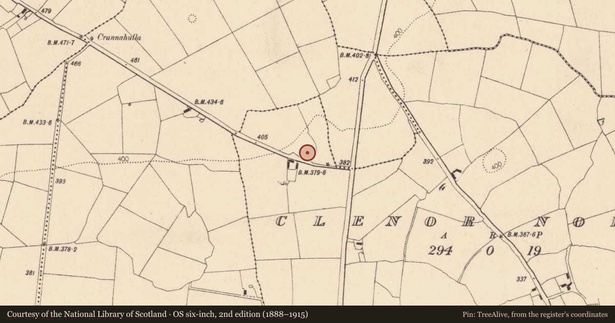 Ordnance Survey six-inch map, 2nd edition (1888–1915) covering the location of Ringfort - rath, Clenor North, County Cork, with a pin at the register's coordinates