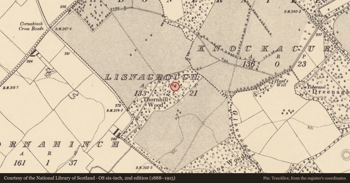 Ordnance Survey six-inch map, 2nd edition (1888–1915) covering the location of Enclosure, Lisnagrough, County Cork, with a pin at the register's coordinates