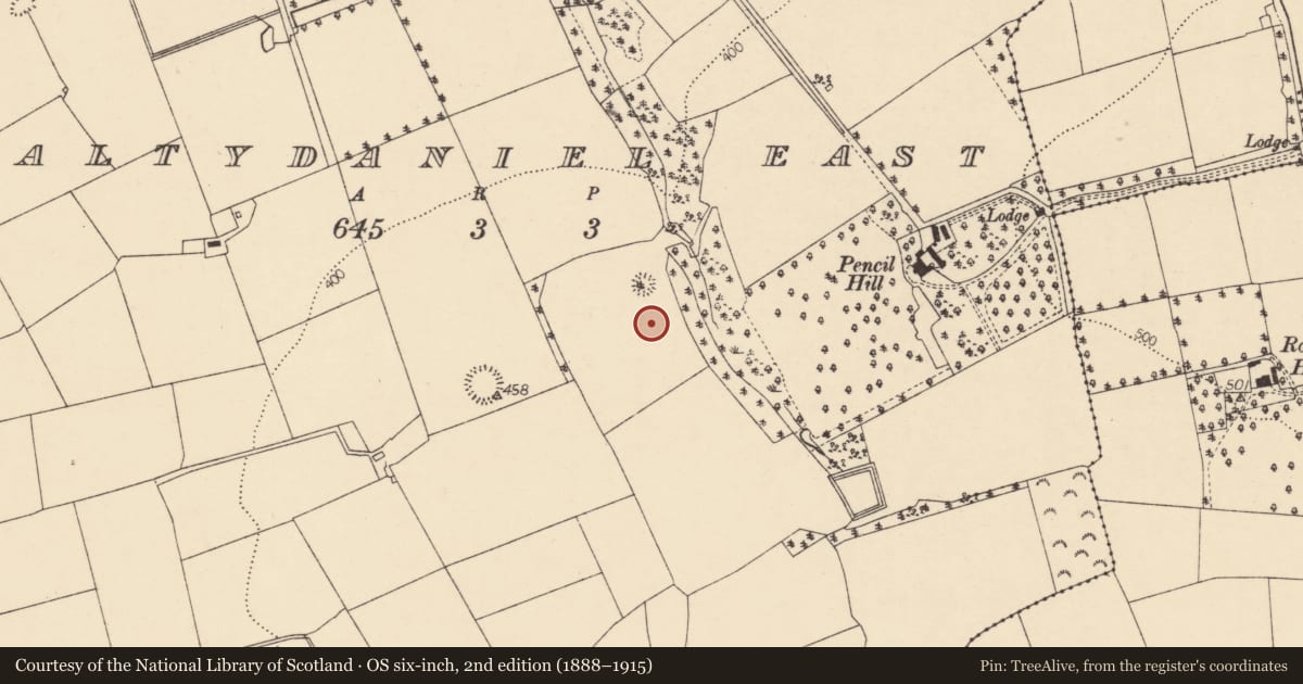 Ordnance Survey six-inch map, 2nd edition (1888–1915) covering the location of Standing stone, Baltydaniel East, County Cork, with a pin at the register's coordinates