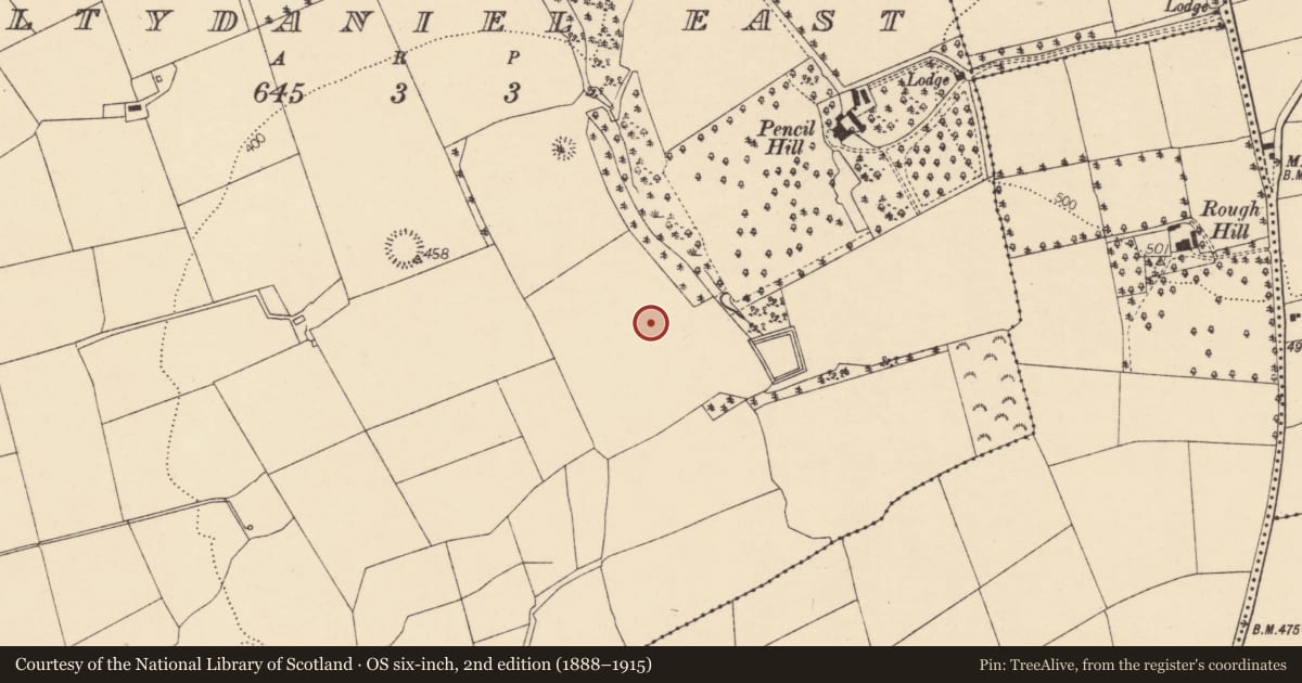 Ordnance Survey six-inch map, 2nd edition (1888–1915) covering the location of Standing stone, Baltydaniel East, County Cork, with a pin at the register's coordinates