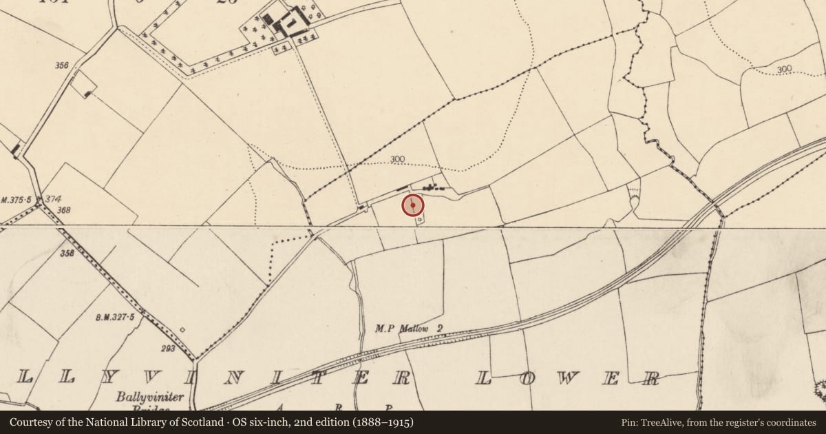 Ordnance Survey six-inch map, 2nd edition (1888–1915) covering the location of Fulacht fia, Ballyviniter Lower, County Cork, with a pin at the register's coordinates
