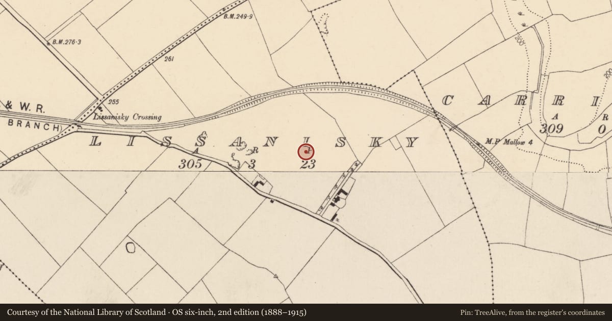 Ordnance Survey six-inch map, 2nd edition (1888–1915) covering the location of Fulacht fia, Lissanisky, County Cork, with a pin at the register's coordinates