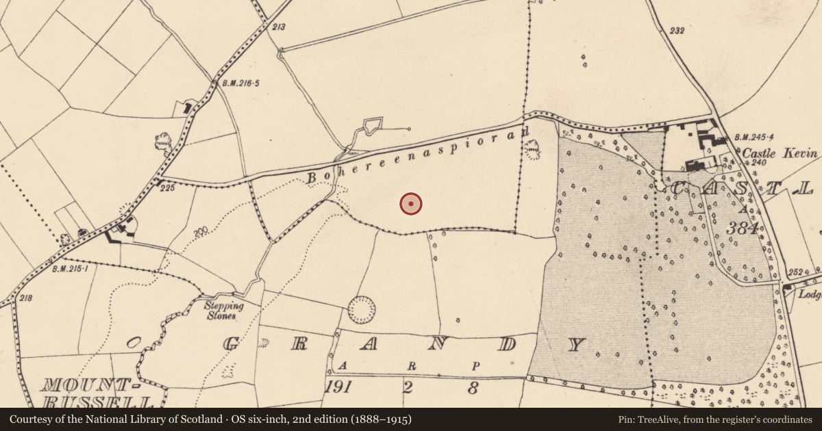 Ordnance Survey six-inch map, 2nd edition (1888–1915) covering the location of Fulacht fia, Annakisha South, County Cork, with a pin at the register's coordinates