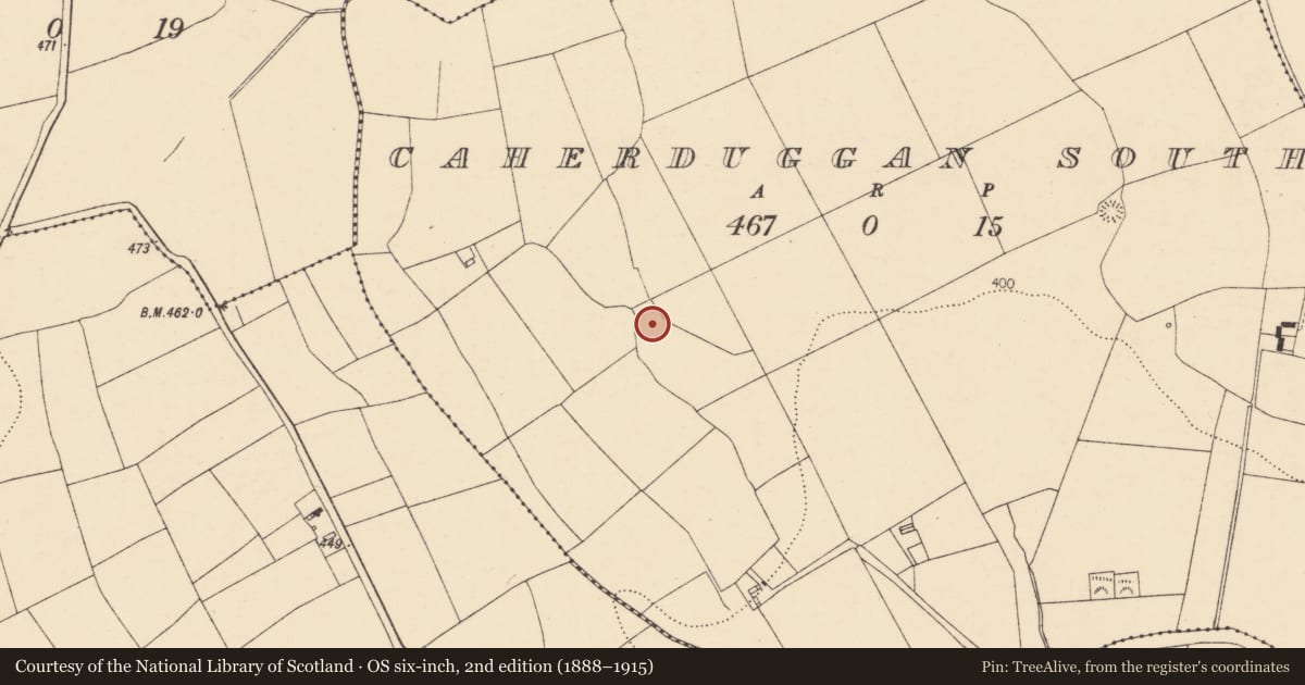 Ordnance Survey six-inch map, 2nd edition (1888–1915) covering the location of Fulacht fia, Caherduggan South, County Cork, with a pin at the register's coordinates