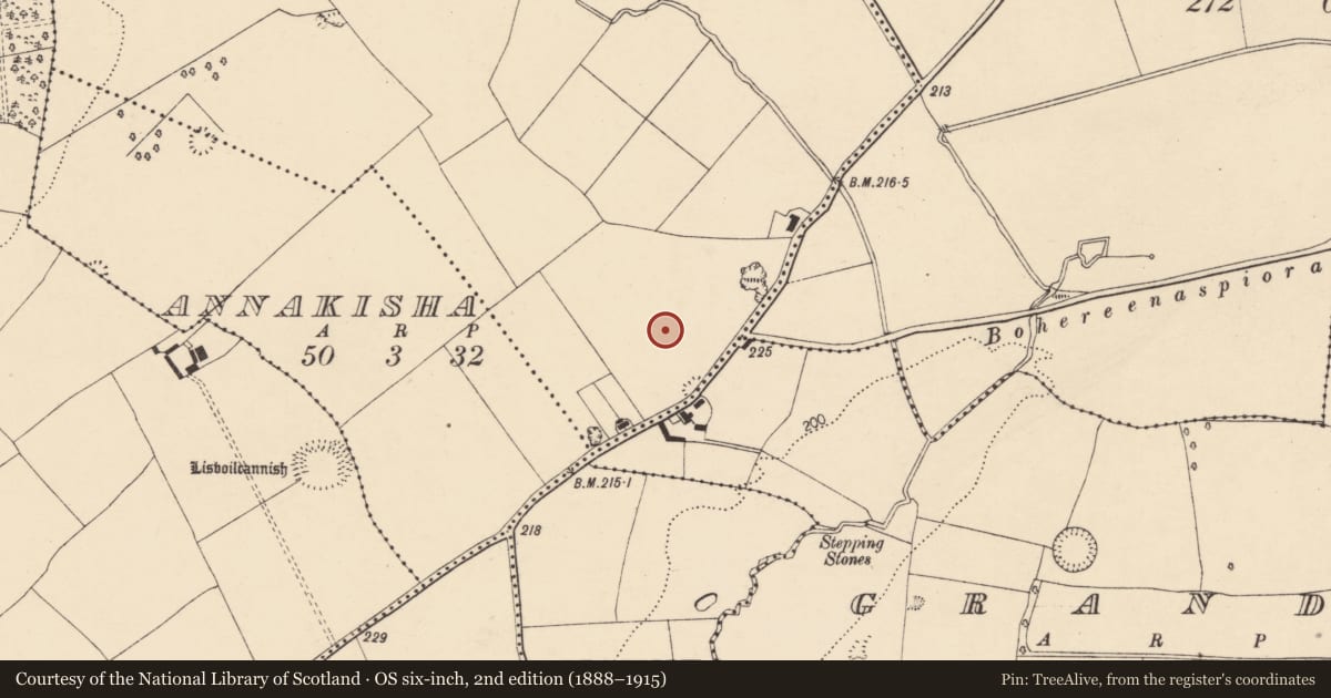 Ordnance Survey six-inch map, 2nd edition (1888–1915) covering the location of Standing stone, Annakisha North, County Cork, with a pin at the register's coordinates