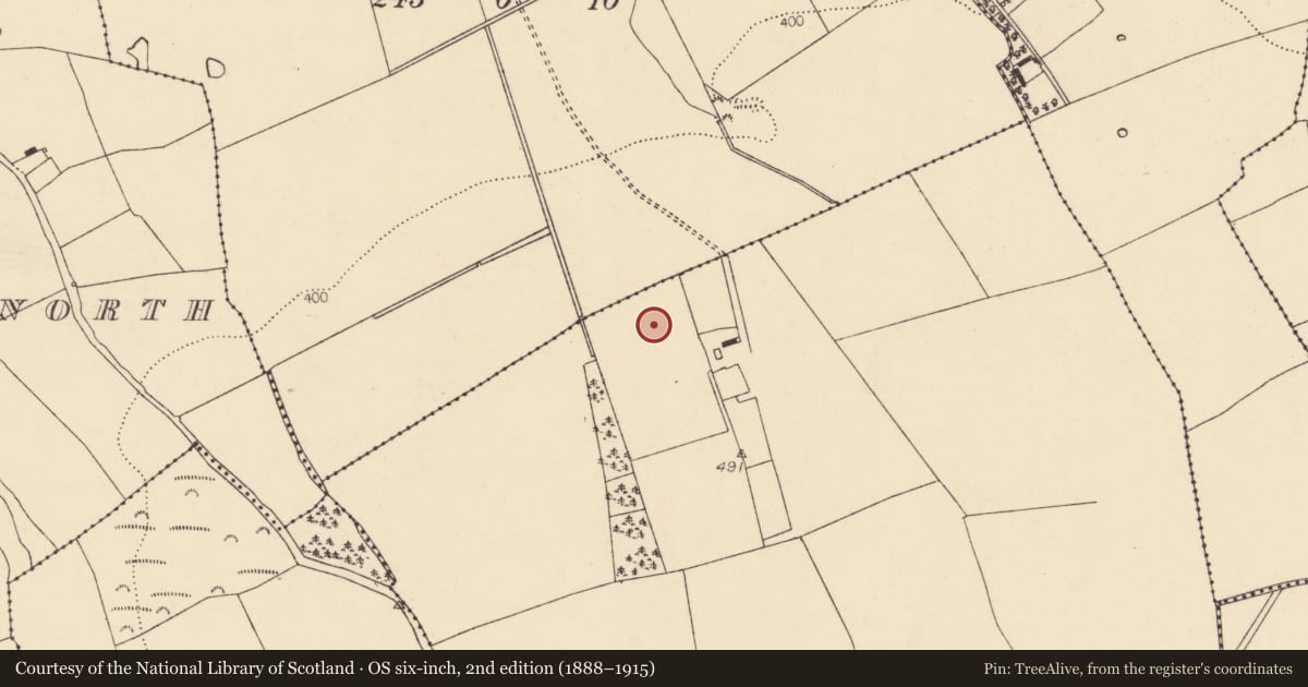 Ordnance Survey six-inch map, 2nd edition (1888–1915) covering the location of Enclosure, Ballybrack, County Cork, with a pin at the register's coordinates