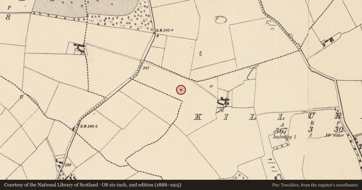 Ordnance Survey six-inch map, 2nd edition (1888–1915) covering the location of Enclosure, Killuragh, County Cork, with a pin at the register's coordinates
