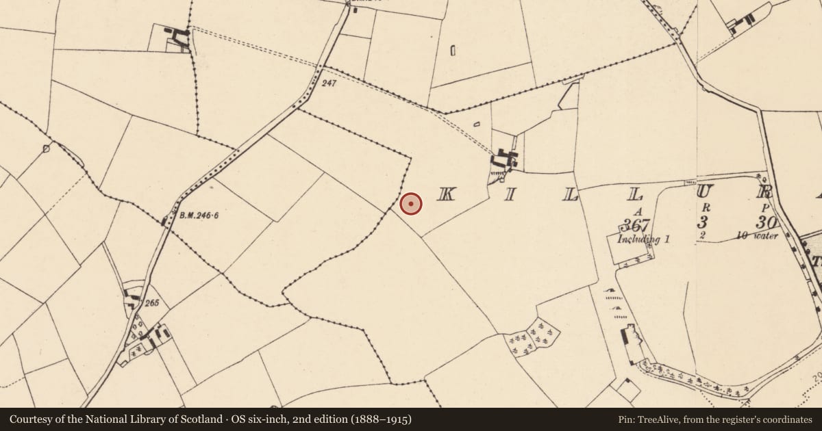 Ordnance Survey six-inch map, 2nd edition (1888–1915) covering the location of Ring-ditch, Killuragh, County Cork, with a pin at the register's coordinates