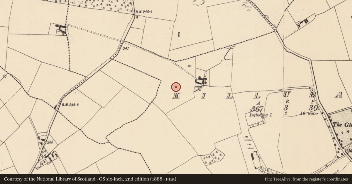 Ordnance Survey six-inch map, 2nd edition (1888–1915) covering the location of Enclosure, Killuragh, County Cork, with a pin at the register's coordinates
