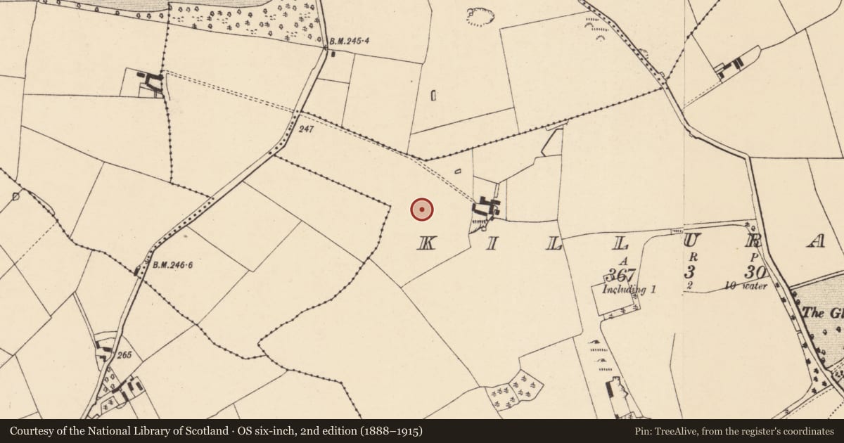 Ordnance Survey six-inch map, 2nd edition (1888–1915) covering the location of Field system, Killuragh, County Cork, with a pin at the register's coordinates