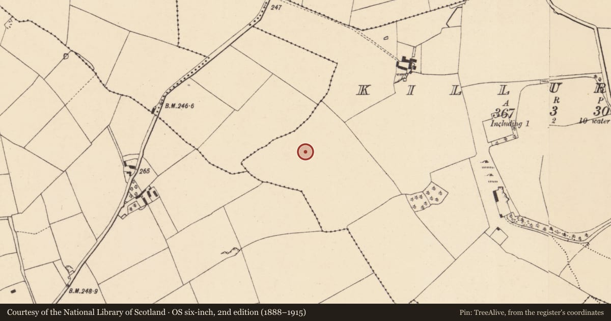 Ordnance Survey six-inch map, 2nd edition (1888–1915) covering the location of Ring-ditch, Killuragh, County Cork, with a pin at the register's coordinates