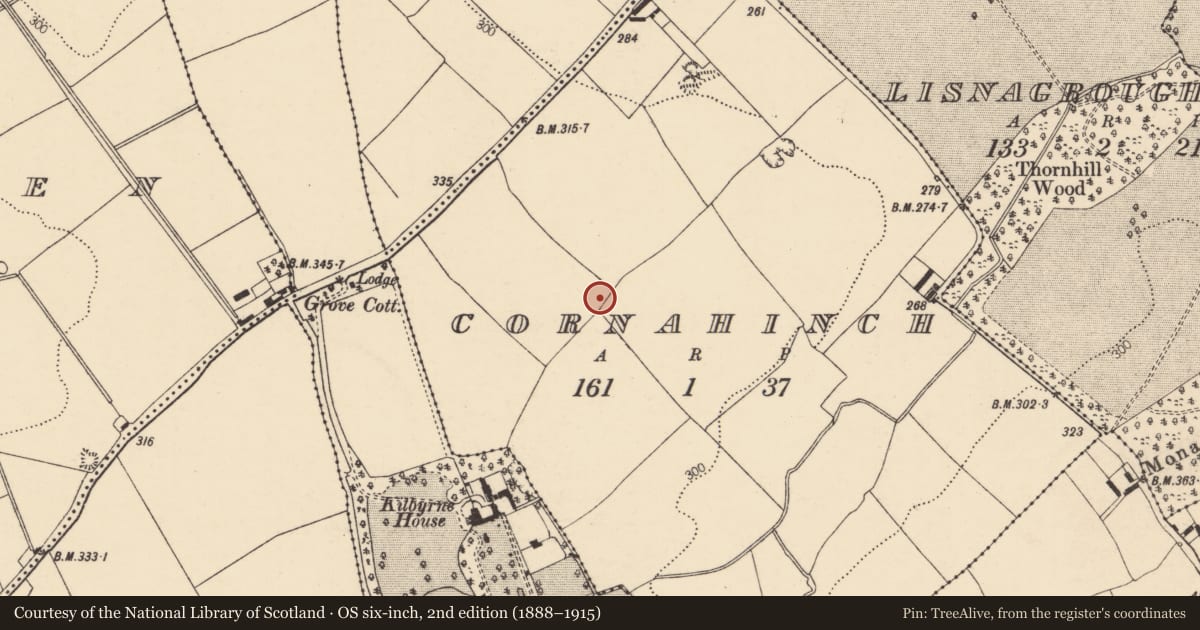 Ordnance Survey six-inch map, 2nd edition (1888–1915) covering the location of Enclosure, Cornahinch, County Cork, with a pin at the register's coordinates