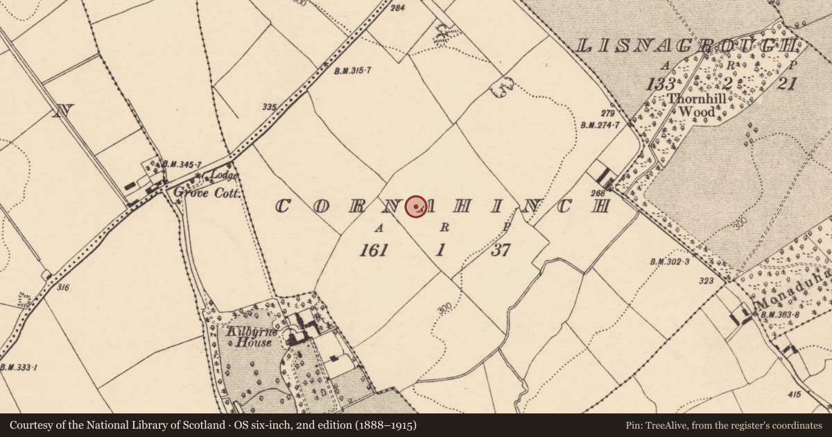 Ordnance Survey six-inch map, 2nd edition (1888–1915) covering the location of Enclosure, Cornahinch, County Cork, with a pin at the register's coordinates