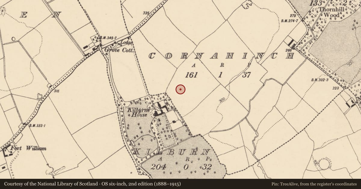 Ordnance Survey six-inch map, 2nd edition (1888–1915) covering the location of Enclosure, Cornahinch, County Cork, with a pin at the register's coordinates