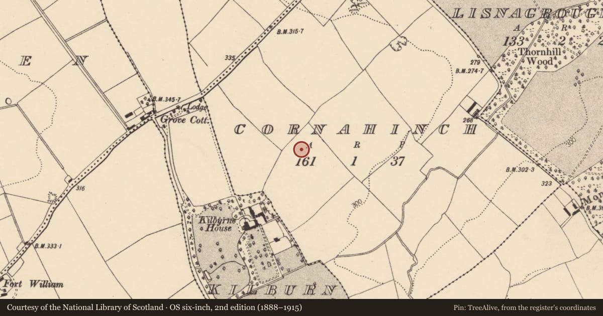 Ordnance Survey six-inch map, 2nd edition (1888–1915) covering the location of Field system, Cornahinch, County Cork, with a pin at the register's coordinates