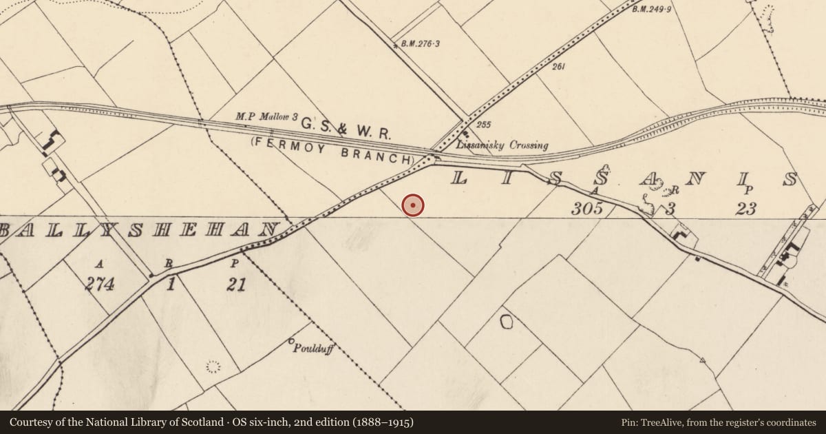 Ordnance Survey six-inch map, 2nd edition (1888–1915) covering the location of Enclosure, Lissanisky, County Cork, with a pin at the register's coordinates
