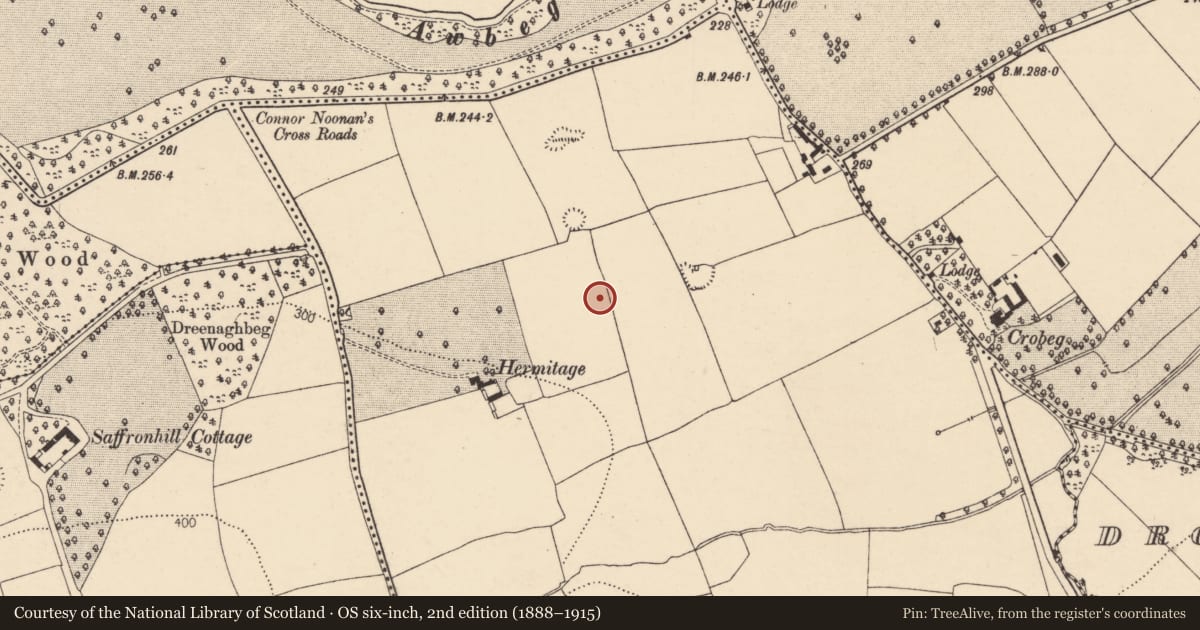 Ordnance Survey six-inch map, 2nd edition (1888–1915) covering the location of Ringfort - rath, Ballyandrew, County Cork, with a pin at the register's coordinates