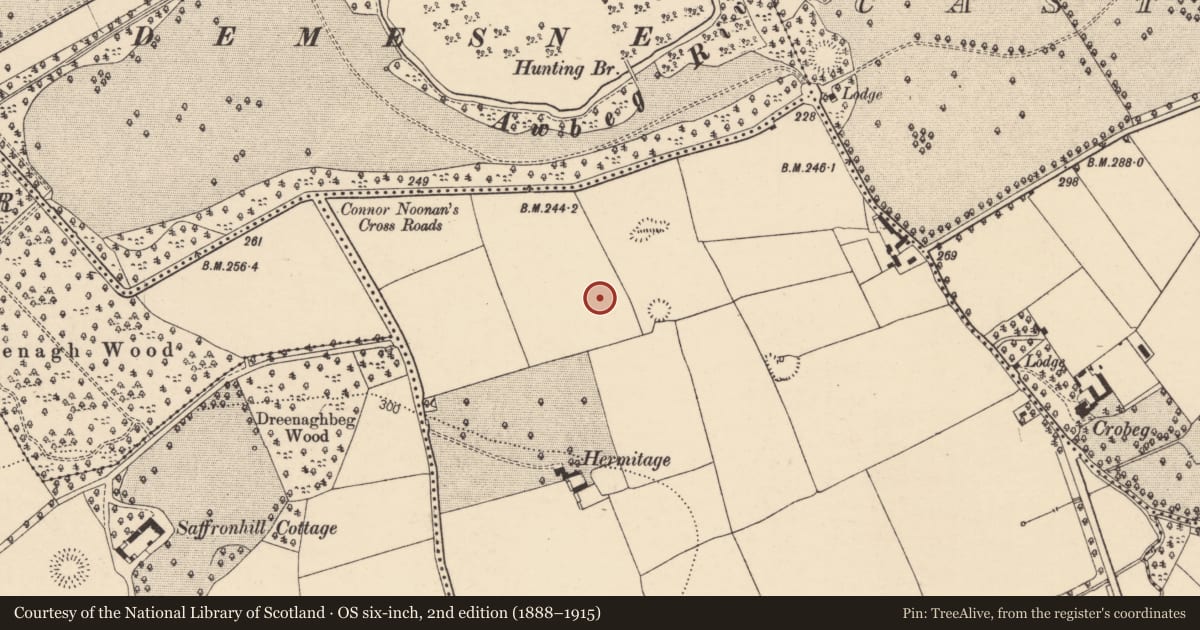 Ordnance Survey six-inch map, 2nd edition (1888–1915) covering the location of Ringfort - rath, Ballyandrew, County Cork, with a pin at the register's coordinates