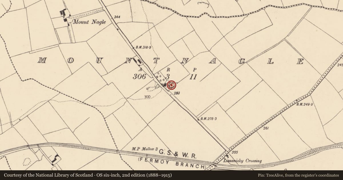 Ordnance Survey six-inch map, 2nd edition (1888–1915) covering the location of Kiln - lime, Mountnagle, County Cork, with a pin at the register's coordinates
