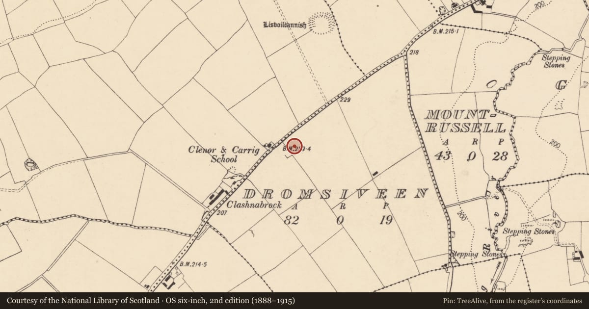 Ordnance Survey six-inch map, 2nd edition (1888–1915) covering the location of Kiln - lime, Dromsiveen, County Cork, with a pin at the register's coordinates