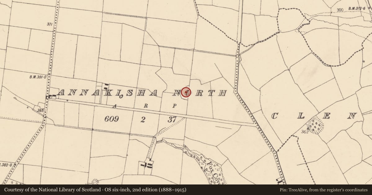 Ordnance Survey six-inch map, 2nd edition (1888–1915) covering the location of Earthwork, Annakisha North, County Cork, with a pin at the register's coordinates