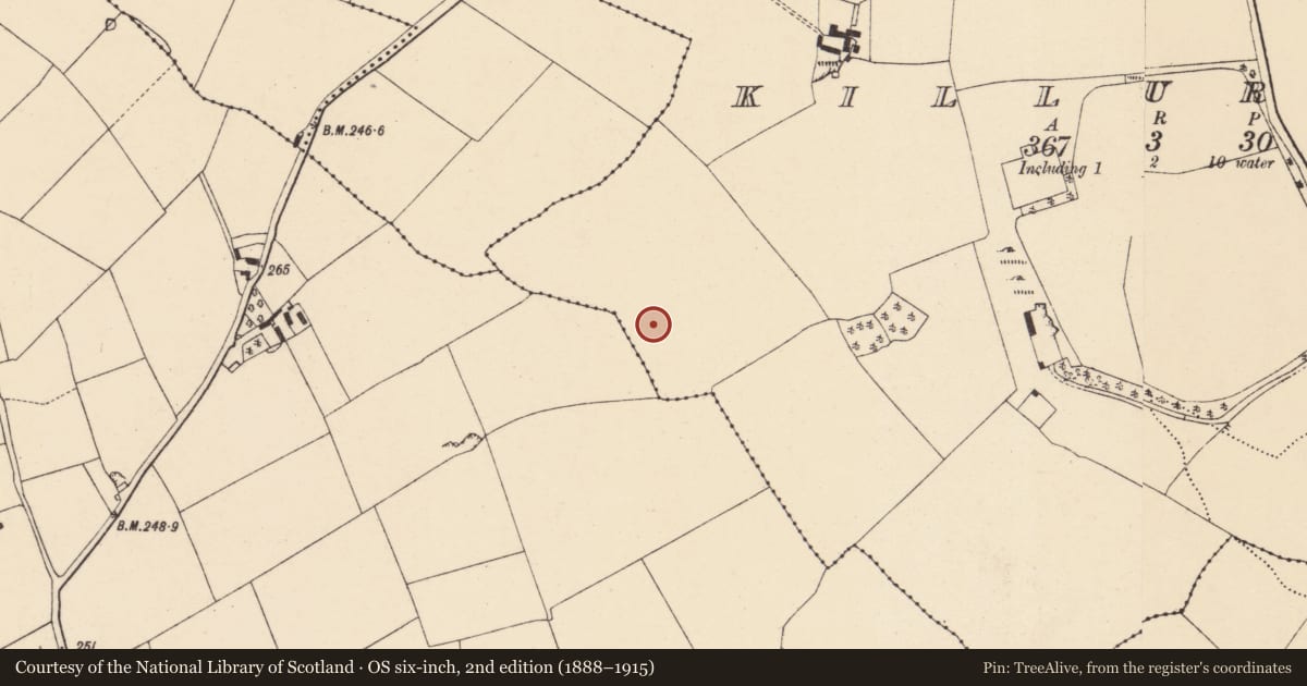 Ordnance Survey six-inch map, 2nd edition (1888–1915) covering the location of Fulacht fia, Killuragh, County Cork, with a pin at the register's coordinates
