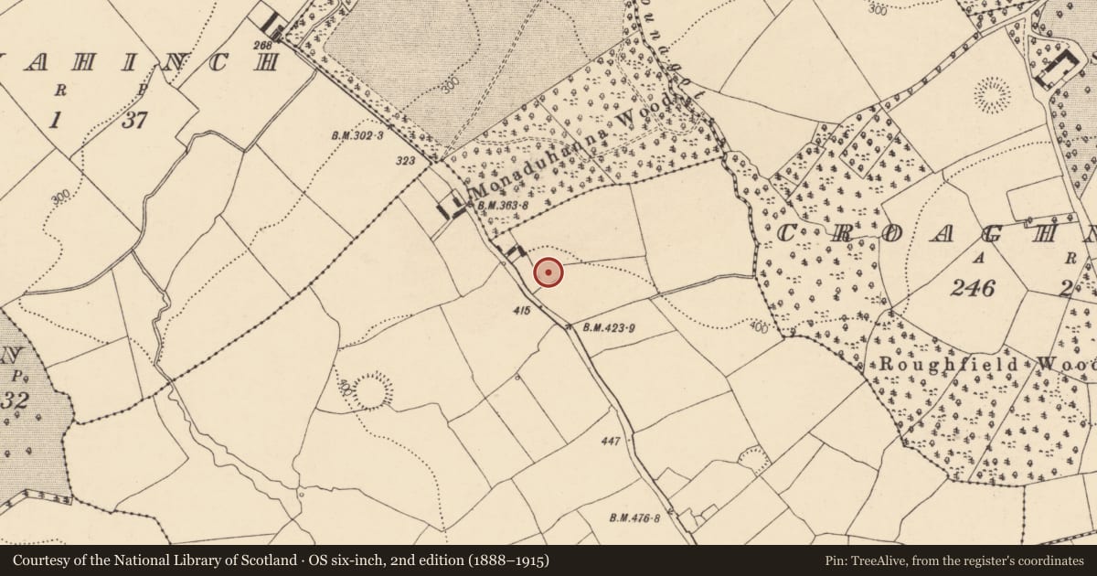 Ordnance Survey six-inch map, 2nd edition (1888–1915) covering the location of Ringfort - rath, Ballydineen (Fermoy By., Doneraile Par.), County Cork, with a pin at the register's coordinates