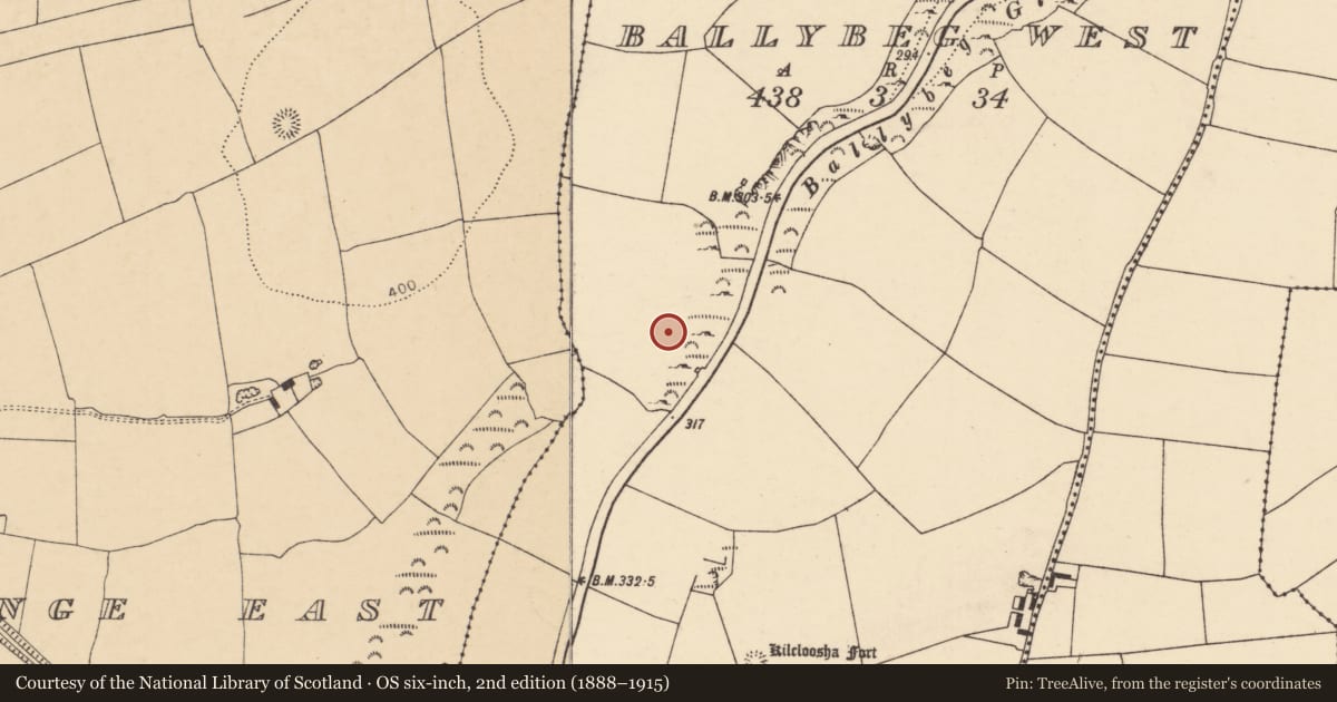 Ordnance Survey six-inch map, 2nd edition (1888–1915) covering the location of Souterrain, Ballybeg West, County Cork, with a pin at the register's coordinates